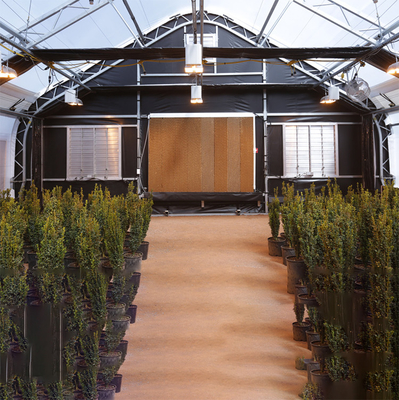Single Span Pc Board Greenhouse Zautomatyzowane zaciemnienie światła dla konopi
