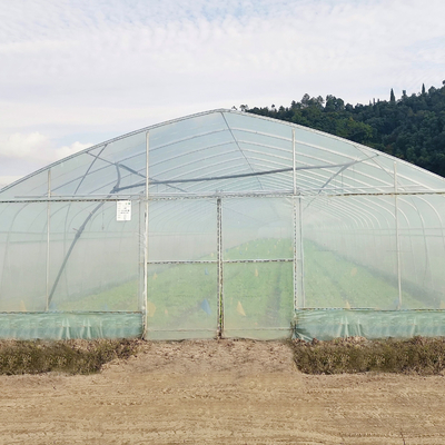System hydroponiczny Jednoprzęsłowa folia z tworzywa sztucznego Rolnictwo Budowa szklarni na sprzedaż