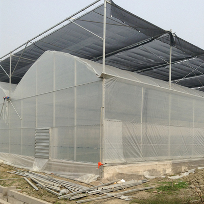 Struktura ocynkowana na gorąco Rolnictwo Tunel foliowy Szklarnia Odporna na wiatr wieloprzęsłowa szklarnia